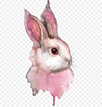 Watercolor painting Rabbit Drawing - rabbit 