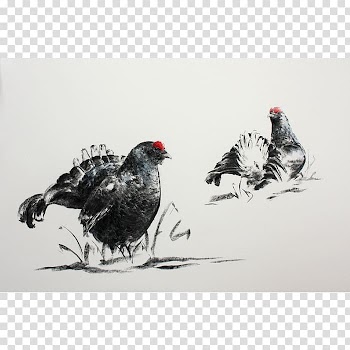 Watercolor painting Rooster Rhinoceros Chicken, painting transparent background PNG clipart