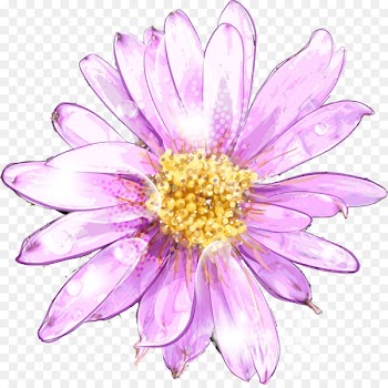 Watercolor painting Royalty-free Stock photography Clip art - Pink chrysanthemum watercolor vector material 