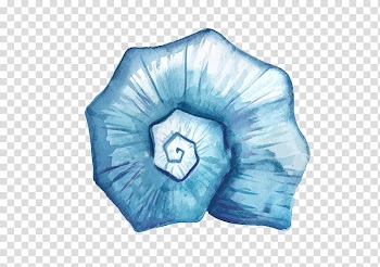 Watercolor painting Seashell, seashell transparent background PNG clipart
