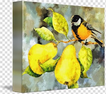 Watercolor painting Still life Art, painting transparent background PNG clipart