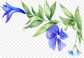 Watercolor painting Stock photography Vector graphics -  