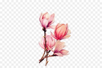 Watercolor painting Tattoo Drawing Magnolia - lotus 