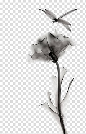 Watercolor painting Tattoo Drawing, painting transparent background PNG clipart