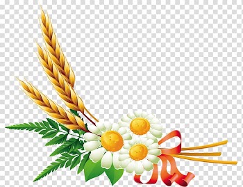 Watercolor painting The Cornfield , painting transparent background PNG clipart