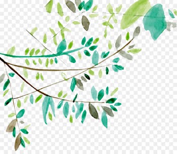 Watercolor Painting, Top, Cushion, Leaf, Branch PNG