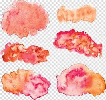 Watercolor painting , Traces of pink meat blooming watercolor transparent background PNG clipart