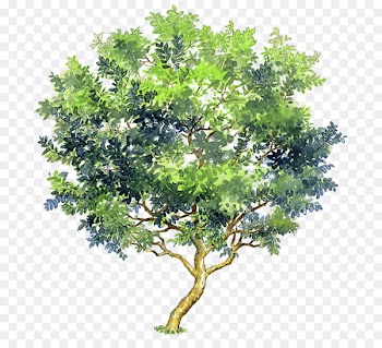 Watercolor painting Tree Portable Network Graphics Image Clip art - watercolor colorful trees 