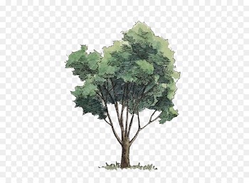 Watercolor painting Tree - Watercolor trees 