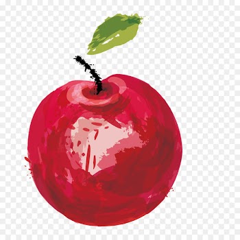 Watercolor painting Vector graphics Image Apple Download - apple 