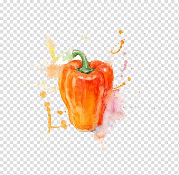 Watercolor painting Vegetable, watercolor persimmon pepper material transparent background PNG clipart