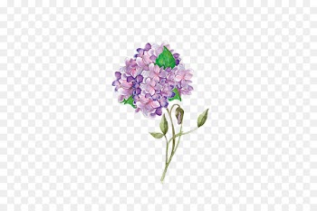 Watercolor painting - Watercolor flowers 
