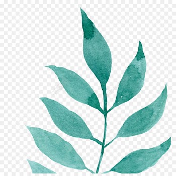 Watercolor painting Watercolor: Flowers Leaf Image Illustration -  