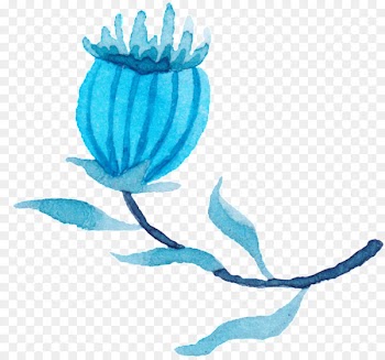 Watercolor painting Watercolor: Flowers Poppy Flowers Transparent Watercolor Image - advice watercolor 
