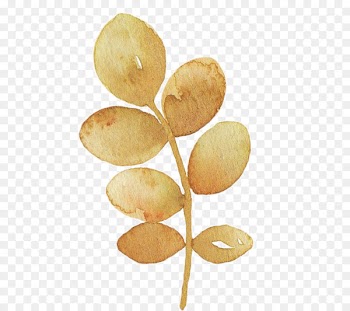 Watercolor painting Watercolor: Flowers Portable Network Graphics Image - watercolor plants 