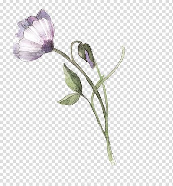 Watercolor painting, Watercolor flowers transparent background PNG clipart
