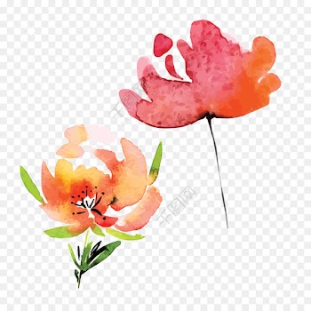 Watercolor painting Watercolor: Flowers Transparent Watercolor Image - advice ornament 