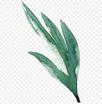 Watercolor painting Watercolor: Flowers - Watercolor Retro Green Leaves 