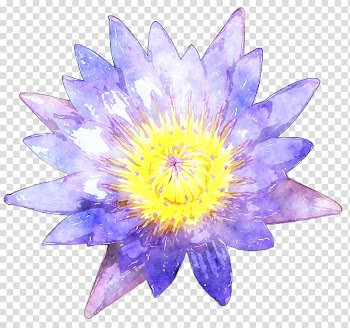 Watercolor painting , watercolor lotus leaf transparent background PNG clipart