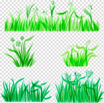 Watercolor painting , Watercolor pen grass decoration borders transparent background PNG clipart