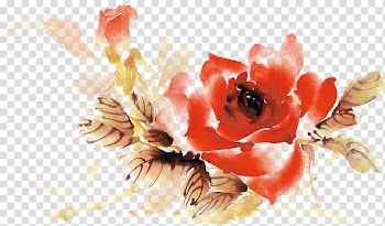 Watercolor painting Watercolour Flowers, flower transparent background PNG clipart