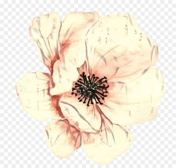 Watercolor Painting, Watercolour Flowers, Painting, Petal, Flower PNG