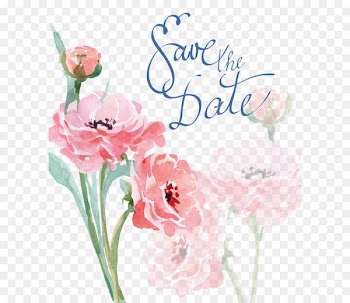Watercolor painting Wedding invitation Drawing - Watercolor pink flower 