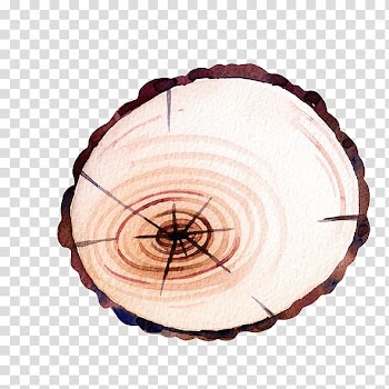 Watercolor painting, wood transparent background PNG clipart