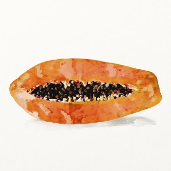 Watercolor papaya illustration, fruit drawing | Free Photo Illustration - rawpixel