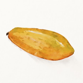 Watercolor papaya illustration, fruit drawing | Free Photo Illustration - rawpixel
