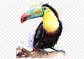 Watercolor parrot png download - 550*630 - Free Transparent Bird ...