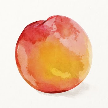 Watercolor peach illustration, fruit drawing | Free Photo Illustration - rawpixel