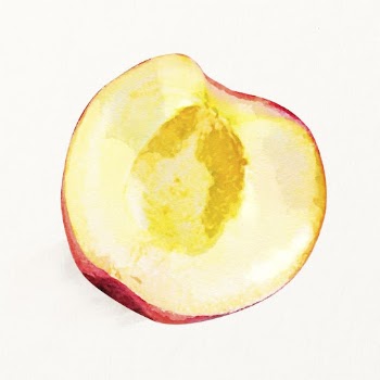 Watercolor peach illustration, fruit drawing | Free Photo Illustration - rawpixel