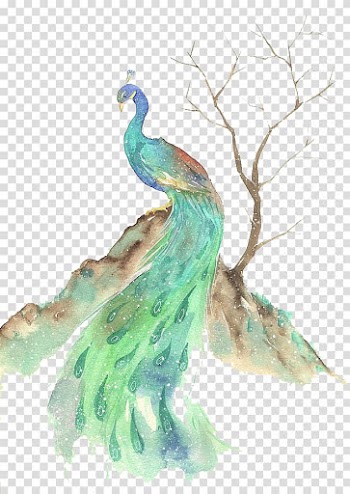 Watercolor peacock transparent background PNG clipart