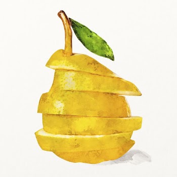 Watercolor pear illustration, fruit drawing | Free Photo Illustration - rawpixel