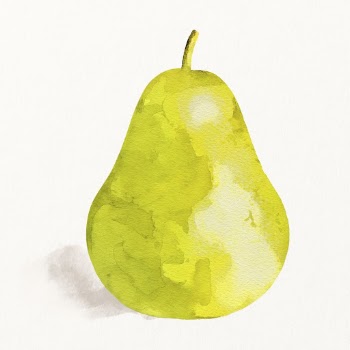 Watercolor pear illustration, fruit drawing | Free Photo Illustration - rawpixel