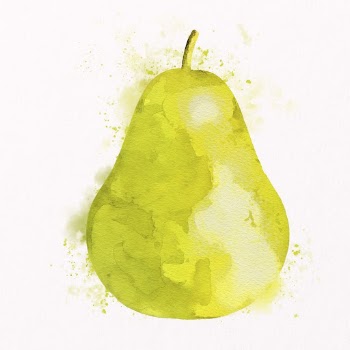 Watercolor pear illustration, fruit drawing | Free Photo Illustration - rawpixel