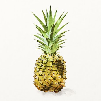 Watercolor pineapple clipart, tropical fruit | Free Photo Illustration - rawpixel