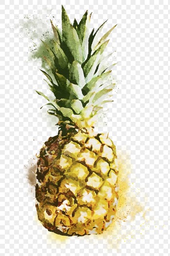 Watercolor pineapple png sticker, fruit | Free PNG - rawpixel