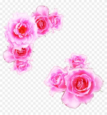 Watercolor Pink Rose - Pink Anime Rose Png