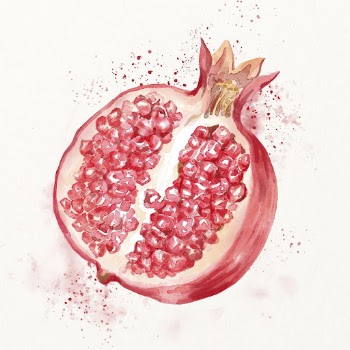 Watercolor pomegranate illustration, fruit drawing | Free Photo Illustration - rawpixel