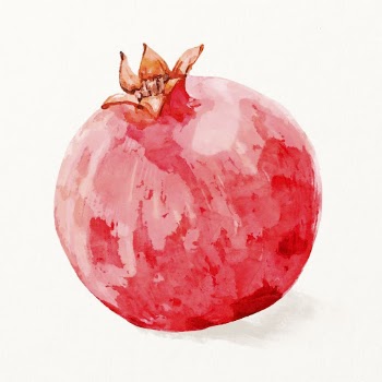 Watercolor pomegranate illustration, fruit drawing | Free Photo Illustration - rawpixel