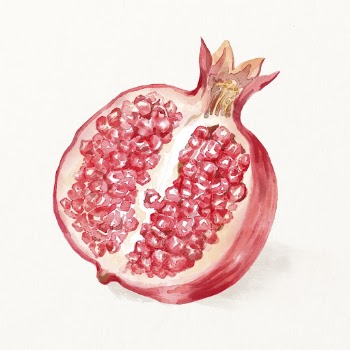 Watercolor pomegranate illustration, fruit drawing | Free Photo Illustration - rawpixel