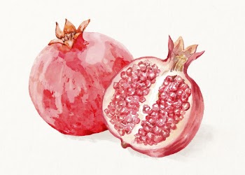 Watercolor pomegranate illustration, fruit drawing | Free Photo Illustration - rawpixel