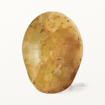 Watercolor potato illustration, vegetable drawing | Free Photo Illustration - rawpixel