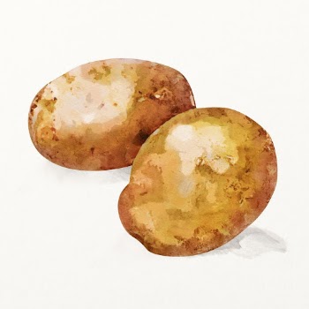 Watercolor potatoes illustration, vegetable drawing | Free Photo Illustration - rawpixel