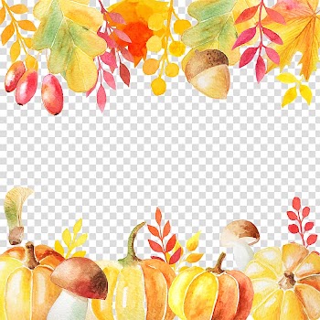 Watercolor pumpkin leaves transparent background PNG clipart
