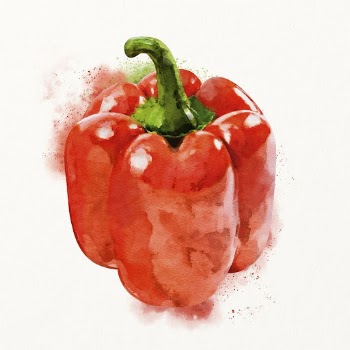 Watercolor red bell pepper illustration, | Free Photo Illustration - rawpixel