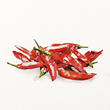 Watercolor red chili illustration, vegetable | Free Photo Illustration - rawpixel