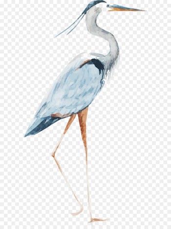 Watercolor Red - crowned Crane Vector 